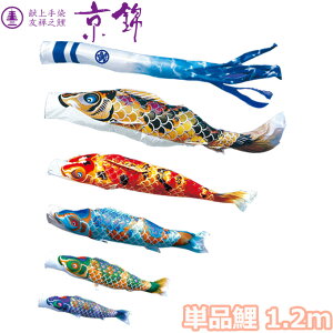 y}\!m1/2ōő100|CgobNz2025Nx { ̂ڂ i Pi FTV  Pi1.2m 001-170 /Ԍ//Ό/