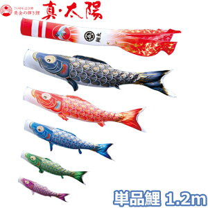 y}\!m1/2ōő100|CgobNz2025Nx { ̂ڂ i Pi ̋P ^Ez Pi1.2m 003-810 /Ԍ//Ό//sN