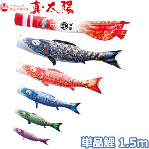 y}\!m1/2ōő100|CgobNz2025Nx { ̂ڂ i Pi ̋P ^Ez Pi1.5m 003-809 /Ԍ//Ό//sN