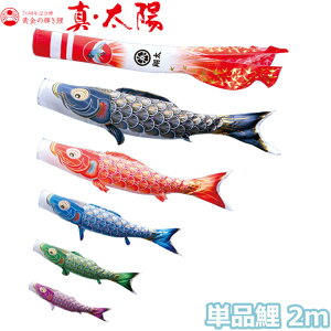 2025Nx { ̂ڂ i Pi ̋P ^Ez Pi2m 003-808 /Ԍ//Ό//sN