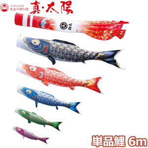 y}\!m1/2ōő100|CgobNz2025Nx { ̂ڂ i Pi ̋P ^Ez Pi6m 003-803 /Ԍ/