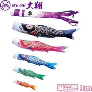 2025Nx { ̂ڂ i Pi  Pi1m 003-714 Ԍ//Ό/