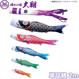 yBF!m1/2ōő100|CgobNz2025Nx { ̂ڂ i Pi  Pi2m 003-712 /Ԍ//Ό/