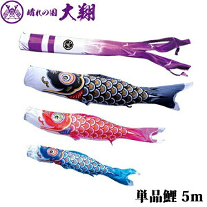 2025Nx { ̂ڂ i Pi  Pi5m 003-709 /Ԍ/