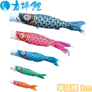 y}\!m1/2ōő100|CgobNz2025Nx { ̂ڂ i Pi FT Pi1m 003-577 /Ԍ//Ό//sN