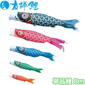 2025Nx { ̂ڂ i Pi FT Pi8m 003-557 /Ԍ/