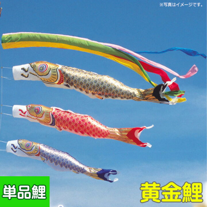 楽天市場】2025年度 新作 日本製 鯉のぼり こいのぼり 単品 黄金鯉 
