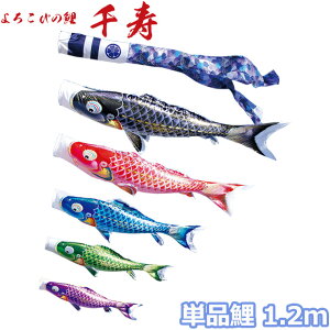 yBF!m1/2ōő100|CgobNz2025Nx { ̂ڂ i Pi 낱т̌  Pi 1.2m 001-338 /Ԍ//Ό/ H