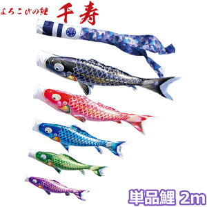 2025Nx { ̂ڂ i Pi 낱т̌  Pi 2m 001-336 /Ԍ//Ό/ H