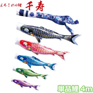 2025Nx { ̂ڂ i Pi 낱т̌  Pi 4m 001-334 /Ԍ//Ό/ H