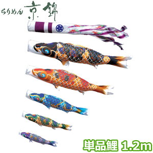 2025Nx { ̂ڂ i Pi FTV ߂񋞋 Pi1.2m 000-758 /Ԍ//Ό//sN H