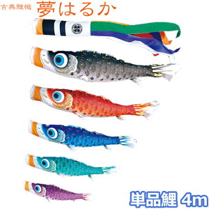 y}\!m1/2ōő100|CgobNz2025Nx { ̂ڂ i Pi ÓT̂ڂ ͂邩 Pi4m 001-636 /Ԍ/ H