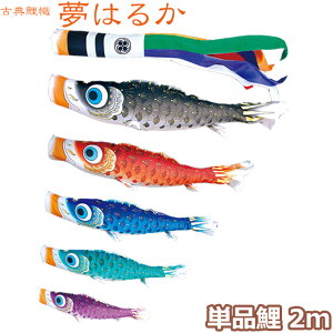 yBF!m1/2ōő100|CgobNz2025Nx { ̂ڂ i Pi ÓT̂ڂ ͂邩 Pi2m 001-638 /Ԍ//Ό//sN H