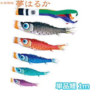 2025Nx { ̂ڂ i Pi ÓT̂ڂ ͂邩 Pi1m 001-641 Ԍ//Ό//sN H