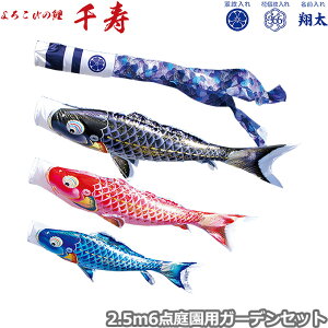 yBF!m1/2ōő100|CgobNz2025Nx { 뉀p ̂ڂ i ̂ڂZbg K[fZbg 낱т̌  2.5m6_Zbg 118-313 Yō݃^Cv Ył 