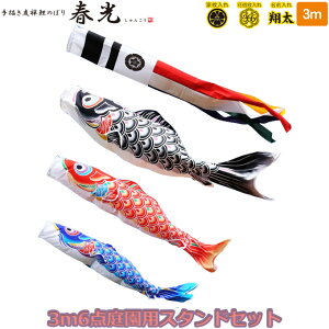 yBF!m1/2ōő100|CgobNz2025Nx { Zbg i 뉀pX^hZbg `FT̂ڂ t 003-950 3M6_Zbg X^h^Cv/ ԁE|[t 3F