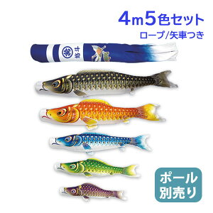 2025Nx V { ̂ڂ 뉀 ̂ڂZbg ^Zbg ʃ} 4m8_Zbg V^ߋT H Ɩ䖼\ ߋ ̂ڂ