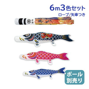 2025Nx V { yYtz ̂ڂ 뉀 ̂ڂ ^Zbg iCX^_[h 6m6_Zbg ė Ɩ䖼\ ̂ڂ