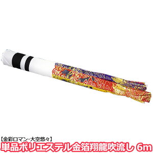 2025Nx V { ̂ڂ Pi ė |GXe Pi 6m ƖE\ ߋ ̂ڂ