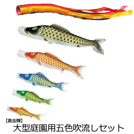 2024年度 新作 日本製 こいのぼり 庭園用 鯉のぼりセット 大型セット 黄金輝 3m6点セット 五色吹流し 撥水加工 節句 村上鯉のぼり