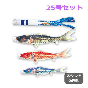 2025Nx V { ̂ڂ ^ix̂ڂ 뉀X^hZbg() V 25Zbg 2.5m p X^ht |[t ̂ڂ ь Ɩ/\