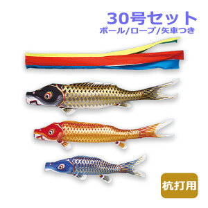 yBF!m1/2ōő100|CgobNz2025Nx V { ̂ڂ ^ix̂ڂ }Cz[EZbg YŗpZbg ]ˋь ܐF 30Zbg 3m ̂ڂ ь Ɩ/