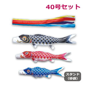2025Nx V { ̂ڂ ^ix̂ڂ 뉀X^hZbg() Ȃߌ ܐF 40 4m p X^h |[ ̂ڂ Ɩ/s