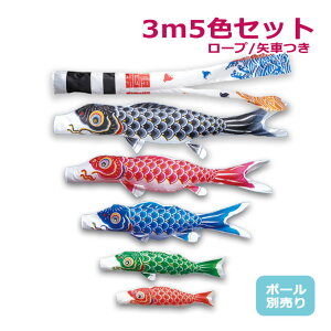 2025年度 新作 日本製 【金太郎なし】 こいのぼり ワタナベ鯉のぼり 大型セット かなめ 浪千鳥吹流し 3m8点セット 鯉5色 ポール別売 庭用 家紋/名入れ可能