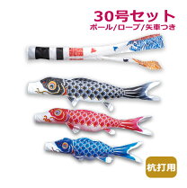 楽天市場】かなめ鯉 セットの通販