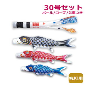 yBF!m1/2ōő100|CgobNz2025Nx V { ̂ڂ ^ix̂ڂ }Cz[EZbg YŗpZbg Ȃߌ Q璹 30Zbg 3m ̂ڂ ь Ɩ/