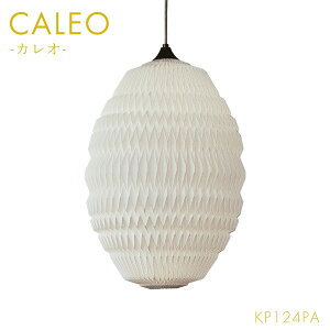 ySS!m1/2ōő100|CgobNzy󒍐Yz [CALEO y_g JI2 zCg KP124PA] Ng Ɩ Cg  Vv i` f}[N k  nh