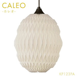 y󒍐Yz [CALEO y_g JI1 zCg KP123PA] Ng Ɩ Cg  Vv i` f}[N k  nhCh