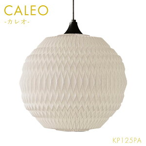 y󒍐Yz [CALEO y_g JI3 zCg KP125PA] Ng Ɩ Cg  Vv i` f}[N k  nhCh