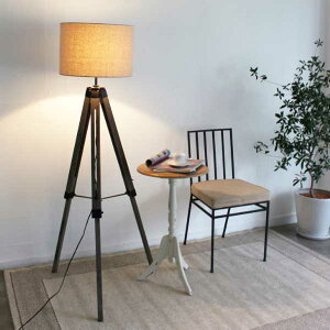 Vieri nova rG mo tAv LF4467BE C[[ ԐڏƖ tbgXCb` re[WH Vv 킢  Ɩ DI CLASSE