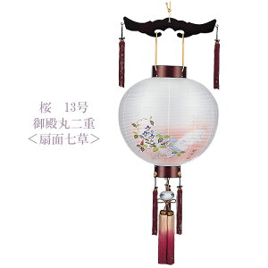  ~   LED dr R[hX ݂邹 Ɩs [ 13 a d ʎ 52223L]