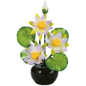 ~ @ؓ LED ~傤 ~  CeAs n 򕌒 ~ V~ _ (23851 Oh~iXSTDnXl) ~pi ~p ~ _ 