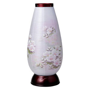 ~ _ ~ CeA~ 2500 쓔 480 7FLED ʎ C