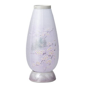 ~ _ ~ CeA~ 2502 쓔 480 7FLED J p[v