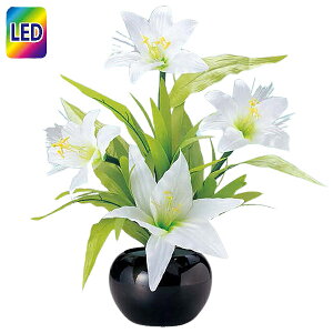 ~ ~ ~ V~ ~傤 ~pi _ CeA~ (23854 Oh~iX STD [)   