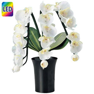 ~ ~ ~ V~ ~傤 ~pi _ CeA~ (23833 Oh~iXSTD Ӓ3{)   