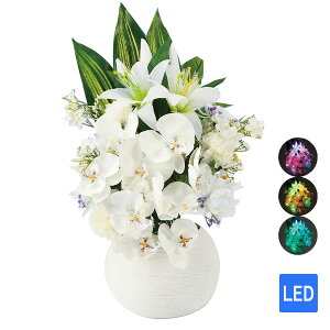 ~ 퐻ԕr yOh~iX Ԃ 23860z G}R[eBOH ~ 傤  V~ ~ LED   