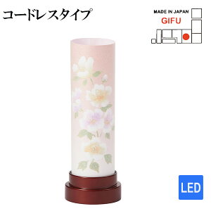 _SS!m1/2ōő100|CgobN^~ _ R[hX^Cv yȂ205 C 4370z drt ~ 傤 CeA ~ V~