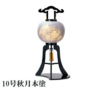 ~ ~傤 ] y10H{h t d 3095z ~ V~  Ɩ t