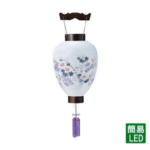 y}\!m1/2ōő100|CgobNz~ ݂艺 yV㎇tEh 5442z ~傤 ~ V~ CeA