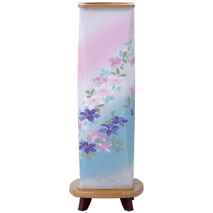 s CeA ~ ~ V~ ~pi ~傤 yԗ22(S)z