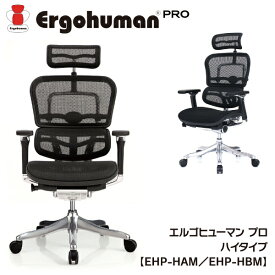 【ポイント10倍】Ergohuman PRO エルゴヒューマン プロ 【EHP-HAM/EHP-HBM ハイタイプ】 ゲーミングチェア チェアー 椅子 ワーキングチェア オフィスチェア デスクチェア ハイバック