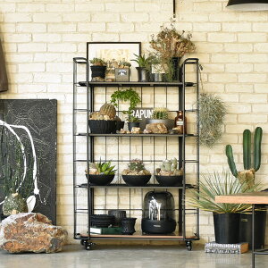 [LD VFtbN80] I  fBXvC bV vg A  Vv ؖ  jO C_XgA  S fXN