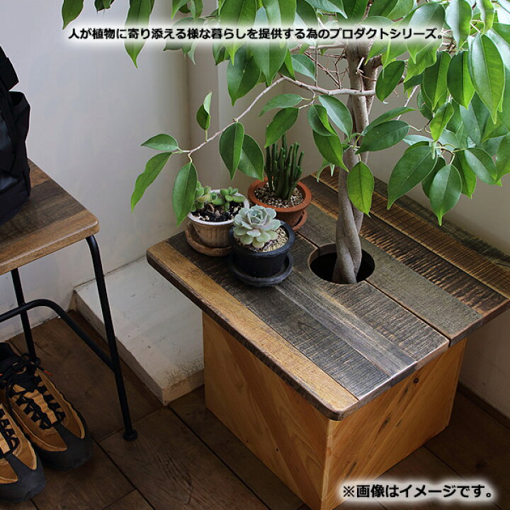 市場】プランツテーブル 【 PLT Plants Table スクウェア45 PLT-S45(MG TE) 】 プランツテーブル デッドスペース解消 サイドテーブル ディスプレイ棚 : アイルインテリアエクセル 市場】プランツテーブル 【 PLT Plants Table スクウェア45 PLT-S45(MG TE) 】 プランツテーブル デッドスペース解消 サイドテーブル ディスプレイ棚 : アイルインテリアエクセル