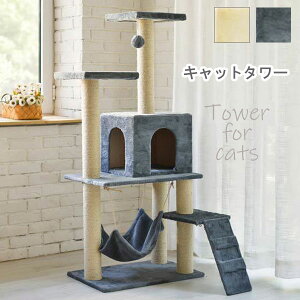 yӍՌ!m1/2ōő100|CgobNzybgp L Lbg ^[ nEX    Vv Lp AgNV ˂ lR  V ܂Ƃ ܖ [DH-6] O[