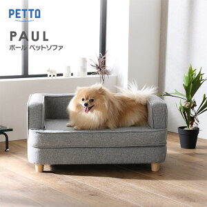 PAUL |[ ybgp\t@ [^Cv ^  Vv k CxgtHg t@Xi[t rO ։ƋyPETTOz